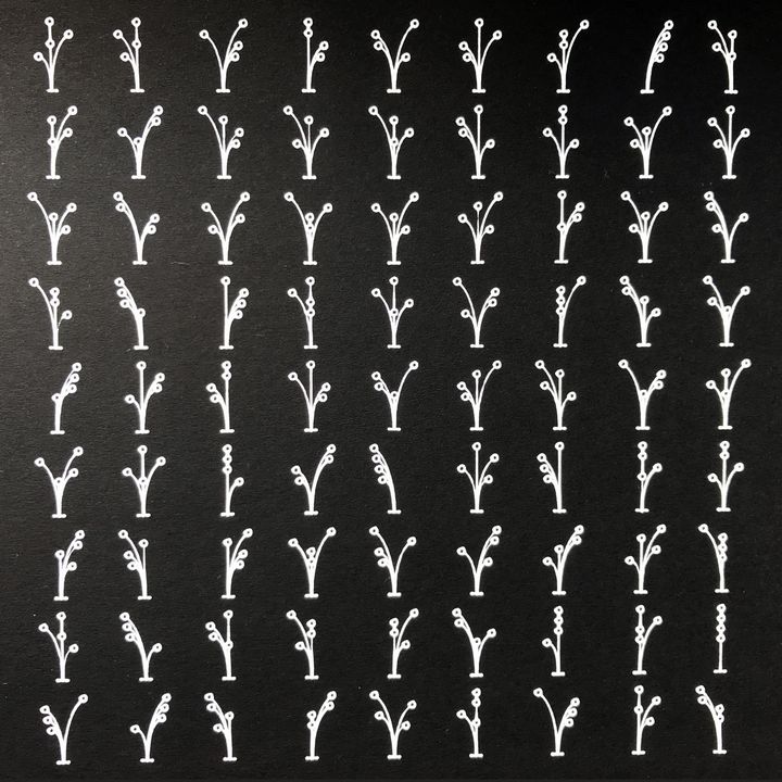 4 trits bouquets, white on black, shuffled