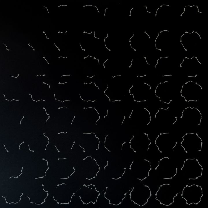 Binary sperm cells, 6 bits, white on black, in sequence